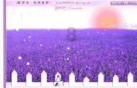 萌宠好又多