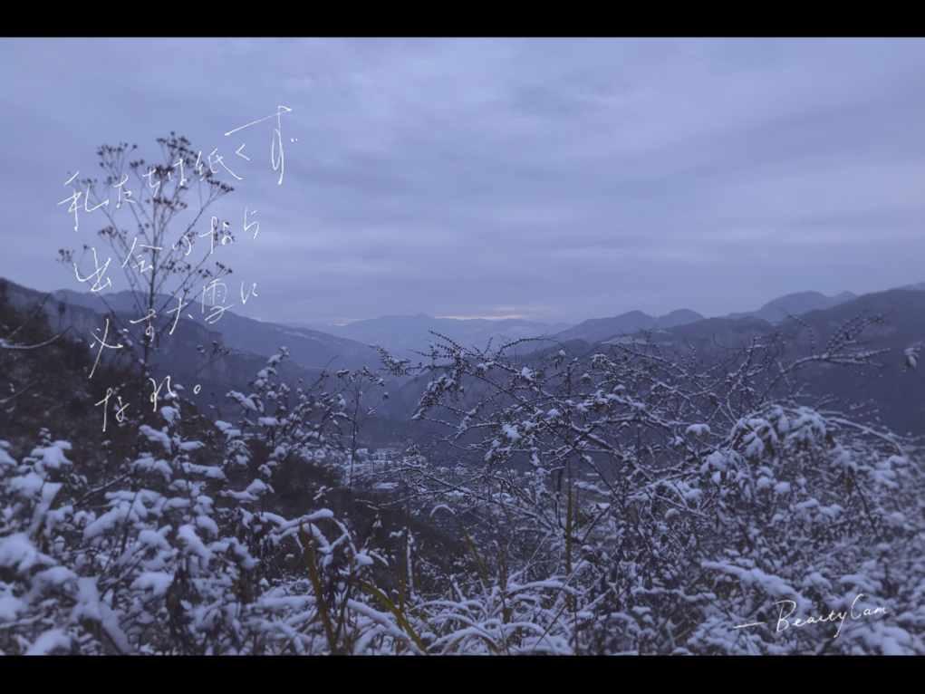 拳皇命运手游