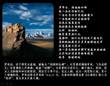 救援瓢虫宝宝