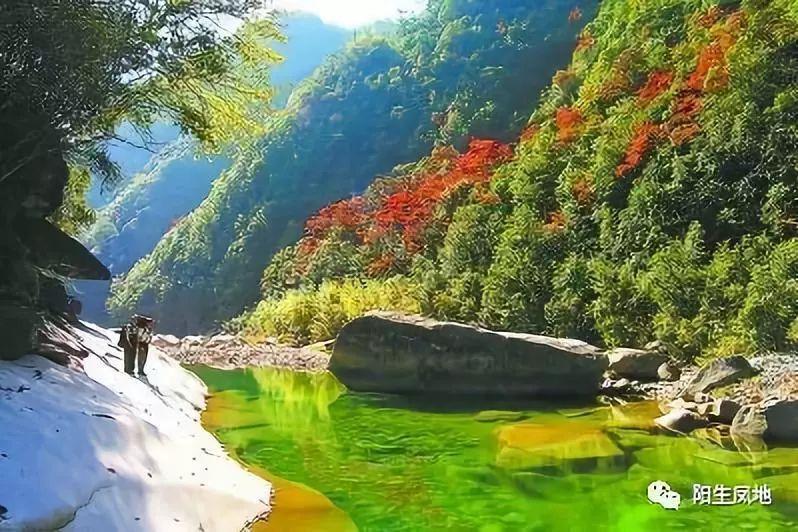 巧虎踢足球2