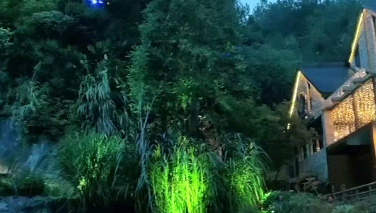 青春礼记